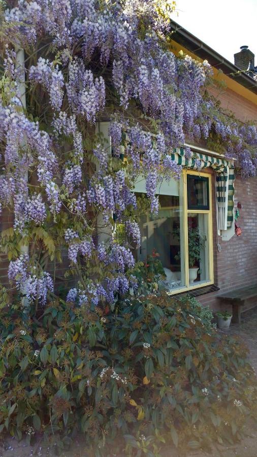 B&B De Vlinder Hardenberg Exteriör bild
