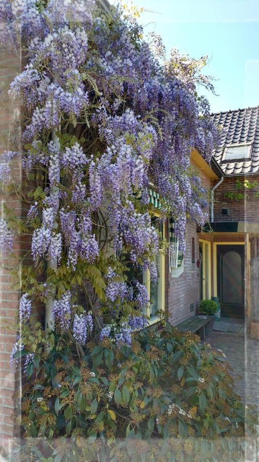 B&B De Vlinder Hardenberg Exteriör bild