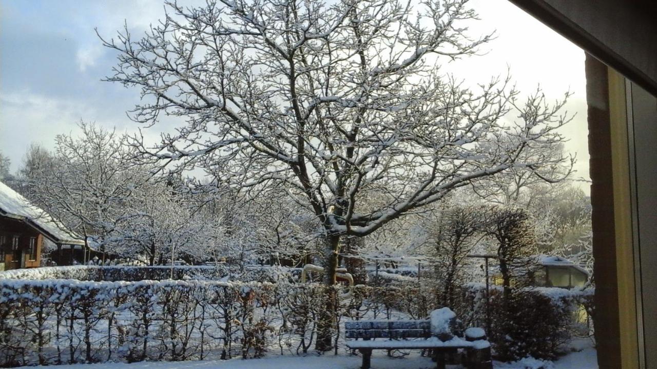 B&B De Vlinder Hardenberg Exteriör bild