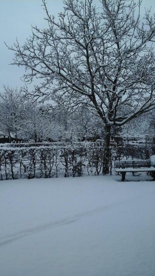 B&B De Vlinder Hardenberg Exteriör bild