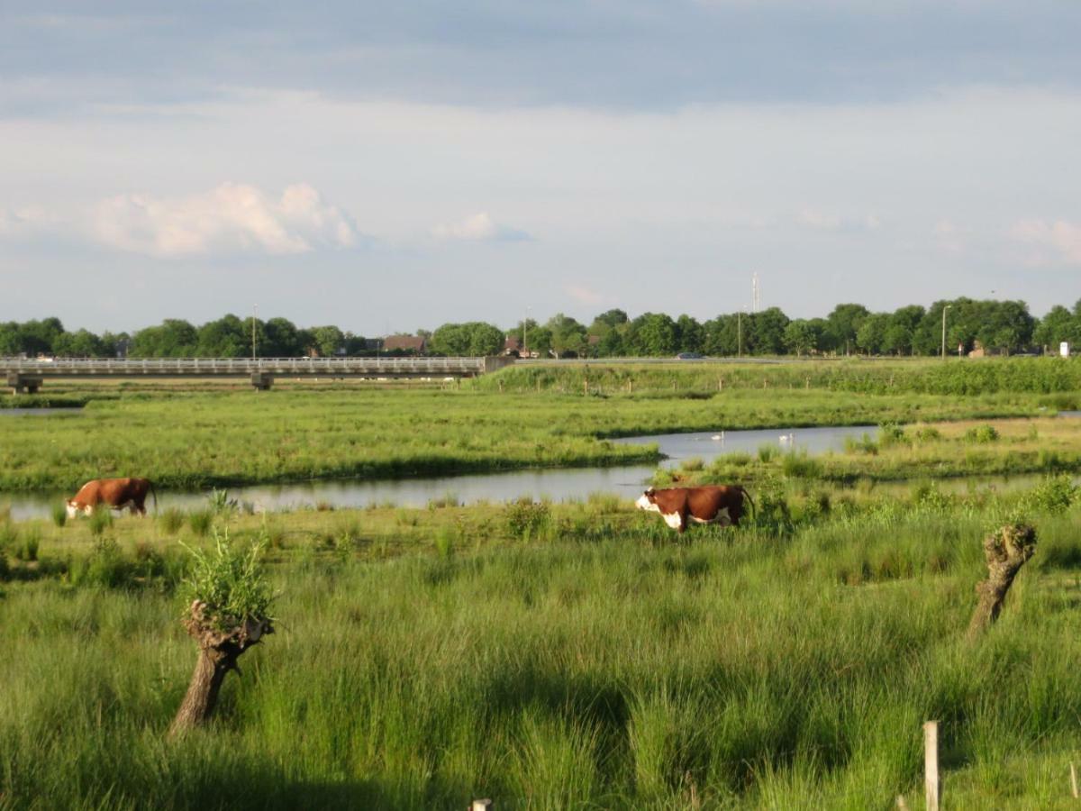B&B De Vlinder Hardenberg Exteriör bild