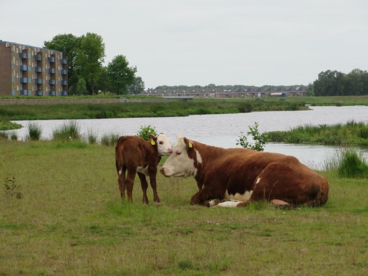 B&B De Vlinder Hardenberg Exteriör bild